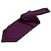 DQT Plain Satin Men's Self-Tie Ascot Cravat