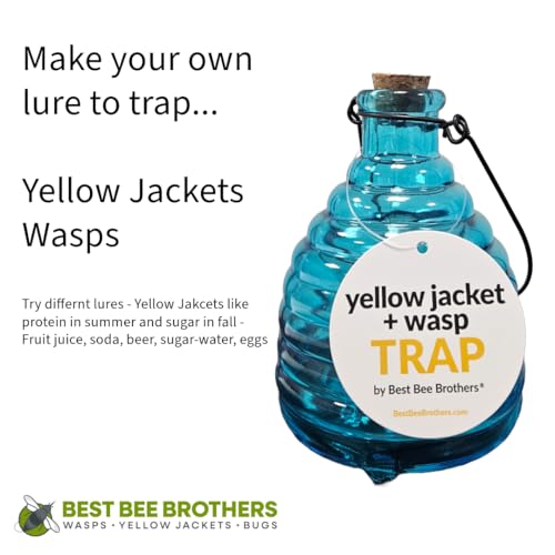 Best Bee Brothers Colorful Glass Yellow Jacket and Wasp Trap, Outdoor Hanging Wasp and Hornet Trap
