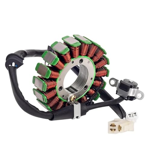 Bobina estator de encendido para mantenimiento de motocicleta YBR250 y YS250