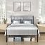Dove Grey