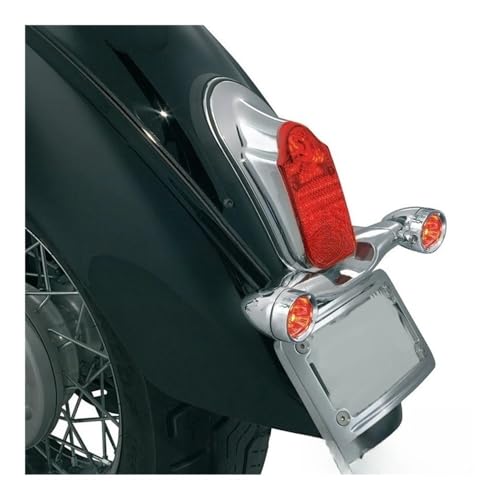 Feu arrière LED pour Softail Heritage et Deluxe FLSTN - 5