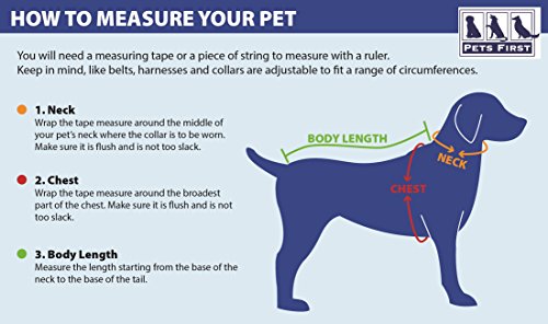 image for Pets First NCAA College Illinois Fighting Illini Mesh Jersey for DOGS 