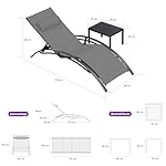 PURPLE LEAF Sonnenliegen-Set Grau mit Tisch
