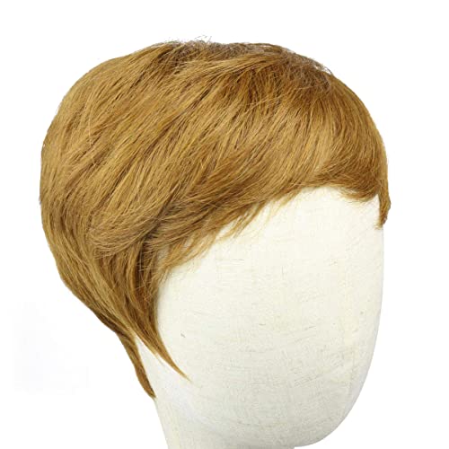 Waveme Short Pixie Human Hair Wigs Straight Brazilian Virgin Hair Boy Cut Wigs for Women Ombre Colors 9001 (30#)