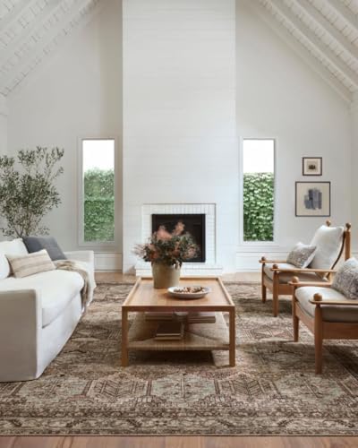 Loloi Amber Lewis Billie Collection, Clay & Sage 10'-0" x 14'-0" Area Rug – Antique & Distressed Accent Rugs for Living Room, Bedroom, Entryway & Hallway, No Shed High Traffic Area Home Decor Rug