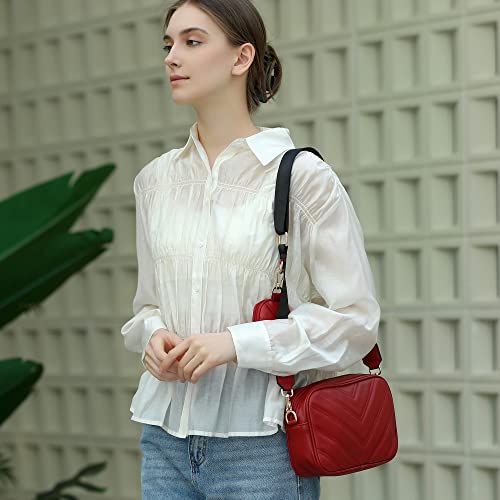 Image of Herald Chevron Quilted Small Crossbody Bag with Coin Purse Pouch, Women Square Camera Side Shoulder 2 Size Handbags (Red)