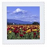 Square dimensions (in inches): 12 L x 12 W, image dimensions (in inches): 10 L x 10 W 100% poloyester; image is soft to touch. Made in USA Edges have pinking shear cut Image will not fade with washing. Image not a transfer, part of material