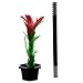 Produktbild SODIAL (R) Komoedie-Blume-Stick Zaubertrick Jugendlicher Show Prop