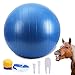 Herding Ball for Horse, 40