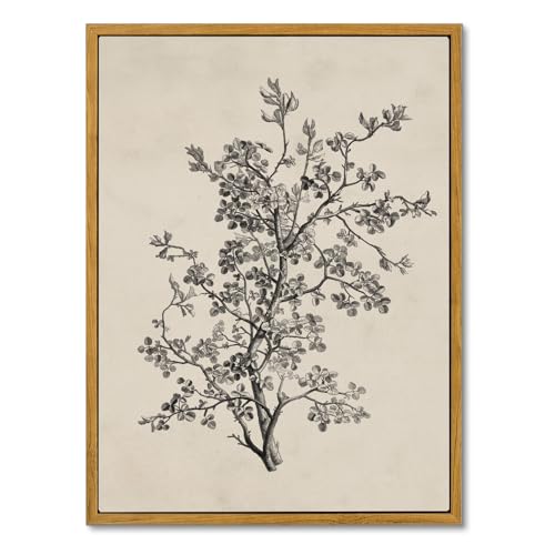 MOXELART Vintage Wall Art - Minimalist Botanical Home Decor