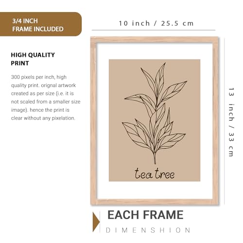 Image of kotart Cooking Herbs Digital Painting for Kitchen Wall Decoration - Minimal Cooking Herbs Wall Art Prints for Restaurant and Dinning Room Decor (10X13 INCH, F)