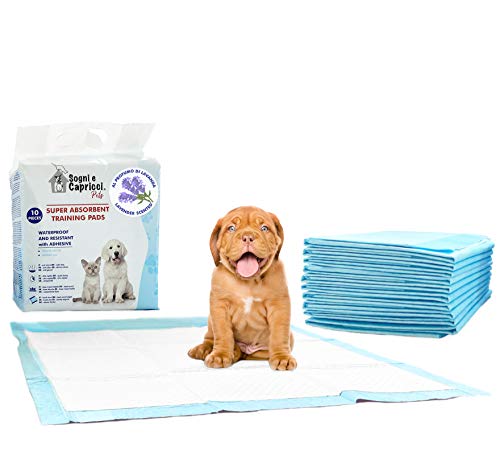 Tappetini Igienici Assorbenti per Cani e Gatti 60x60 cm – 5 Strati Super Assorbenti, Antiodore e Antifuga Liquidi con Adesivi – Traversine Educazione Addestramento Cuccioli (Lavanda, 10 Pezzi)