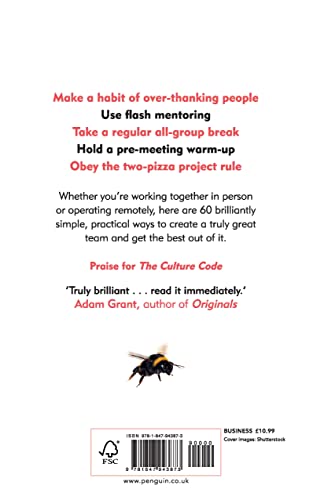 Image of The Culture Playbook: 60 Highly Effective Actions to Help Your Group Succeed