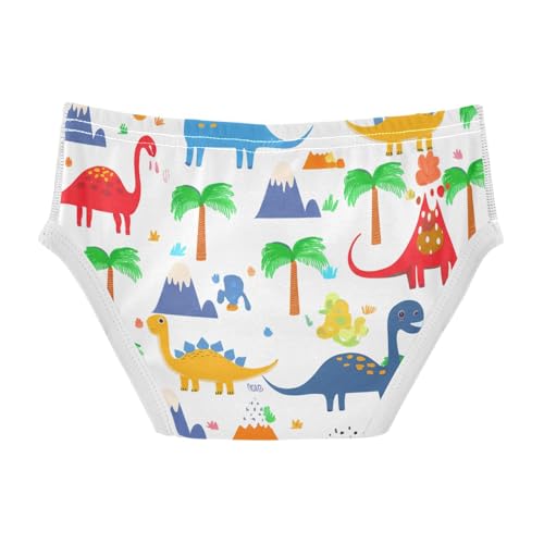 Cute Dinosaur Toddler Boy's Underwear 2T 202c11392