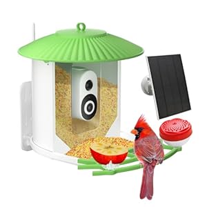 HiBirds-Smart Bird Feeder with Camera,Bird Watching Camera with Solar Powered,Auto Capture Bird Videos & Motion Detection,Free AI Camera,Ideal Gift for Bird Lover