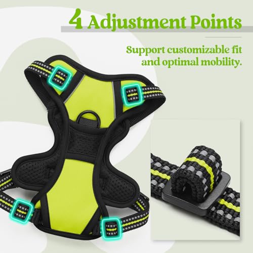 Image of rabbitgoo Dog Harness No Pull with 2 Leash Clips, Adjustable Soft Padded, Reflective Oxford No Choke Pet Vest with Easy Control Handle for Puppy, Green, XS
