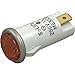 Raypak 001812 001812F Indicator Light 250V