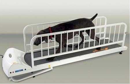 Treadmills for Dogs Like The PR725 Provide Excellent Exercise for...