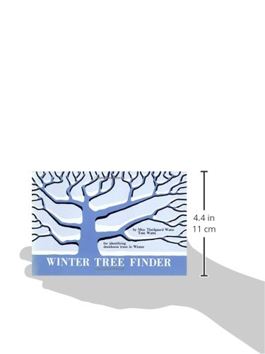 Winter Tree Finder: A Manual for Identifying Deciduous Trees in Winter (Eastern US) (Nature Study Guides) - Image 5
