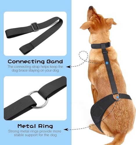 Image of Dolitego Adjustable Dog Knee Brace - Dog ACL Leg Brace for Support with Cruciate Ligament Injury, Joint Pain, and Muscle Soreness, Anti-Slip Canine Rear Leg Braces for Dogs (Medium, Left)