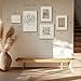 Framed Matisse Abstract Neutral Wall Art, 5 Piece Large Beige Canvas Prints Set, Modern Minimalist Geometric Botanical Paintings for Living Room, Bedroom, Hallway, Home Office, Guest Room