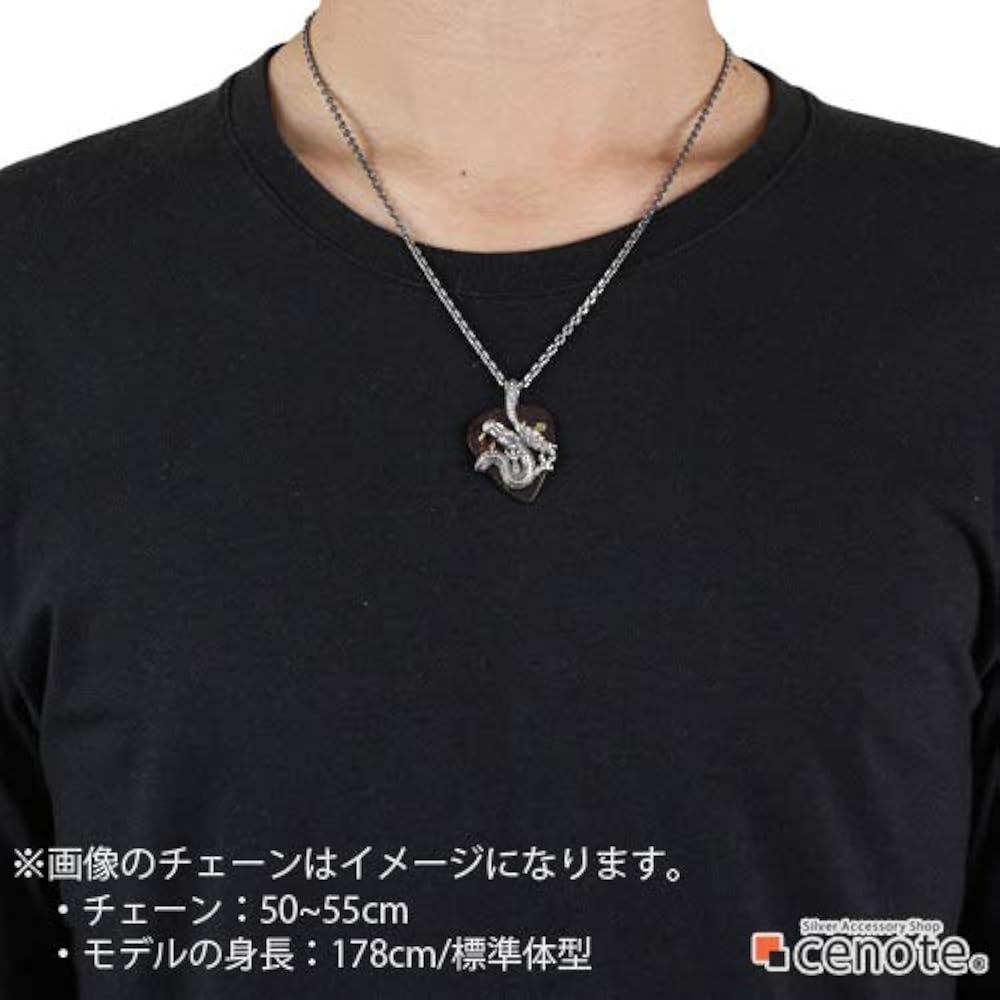 Amazon | [セノーテ] ドラゴン ギター ピックケース ペンダント