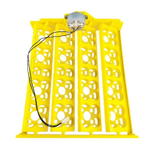 Incubadora única de 16 de volteo automático eficiente y estructura duradera de 12V CC