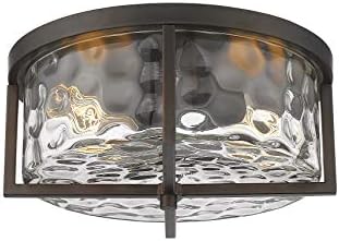 Odeums Indoor Flush Mount Lights, 2-Lights Interior Exterior Ceiling Lights Fixture, Antique Bronze Finish with Clear Hammered Glass