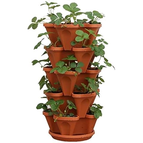 5-Tier Strawberry and Herb Garden Planters - Terra-Cotta Cover