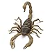 Safari Ltd. Scorpion Figurine - Detailed 7.5