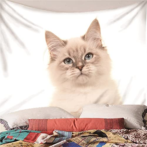 Tissu pour couvertures Isdreem chat mignon 300x250cm avec tenture murale