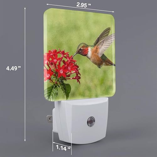 Image of Spring Hummingbird Night Light Set of 2, Red Flowers Auto Sensor LED Dusk-to-Dawn Nightlights, Plug-in Sensor Lamp for Bedroom Bathroom Kitchen Hallway Stairs Decorative
