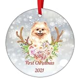 Pomeranian Dog Christmas Ornament 2021 Baby's First Christmas Hanging Ornament Dog Ornaments for Chr