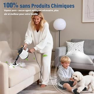 Nettoyeur Vapeur Portable, 110℃ Nettoyeur Vapeur à Main pour un Nettoyage Efficace, Polyvalent Vaporetto avec 10 Accessoires et Câble 5m pour Canapés, Tapis, Joints, Nettoyage sans chimie (Blanc)