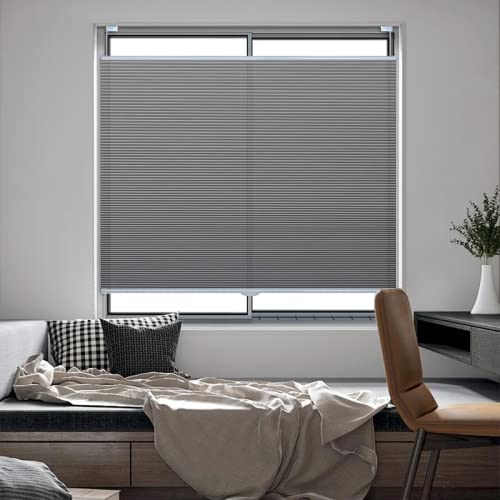 Buy Top Down Bottom Up Shades, Light Filtering Shades, Blinds