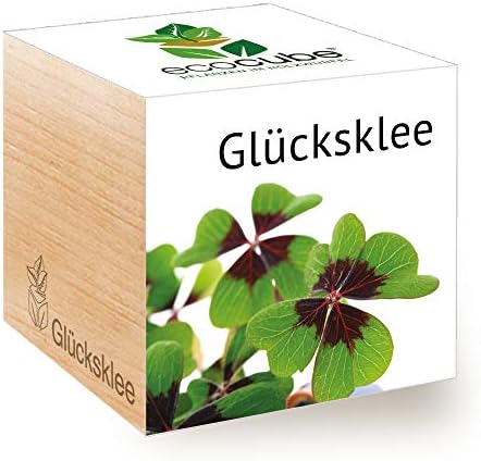 Feel Green Ecocube Lucky Clover, Sustainable Gift Idea (100% Eco-Friendly), Grow Your Own / Plant Set, Plants in Wooden Cube, Made in Austria Feel Green Ecocube Lucky Clover, Sustainable Gift Idea (100% Eco-Friendly), Grow Your Own / Plant Set, Plants in Wooden Cube, Made in Austria