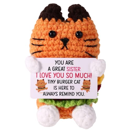 Tiny Burger Cat, Positive Knitted Burger Kitty with Inspirational Card Cute Crochet Doll Decor Birthday Gifts for Sisters Women Friends & Cat Lovers