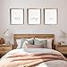 Let's Sleep In Art Prints (Set of 3) - Unframed - 8x10 | Bedroom Wall Decor | Cozy and Relaxing Bedroom Wall Decor | Perfect for Creating a Soothing Sleep Environment | Bedroom Wall Art