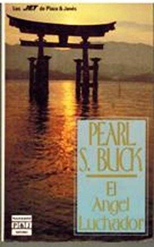 El Angel Luchador [Spanish] 840149768X Book Cover