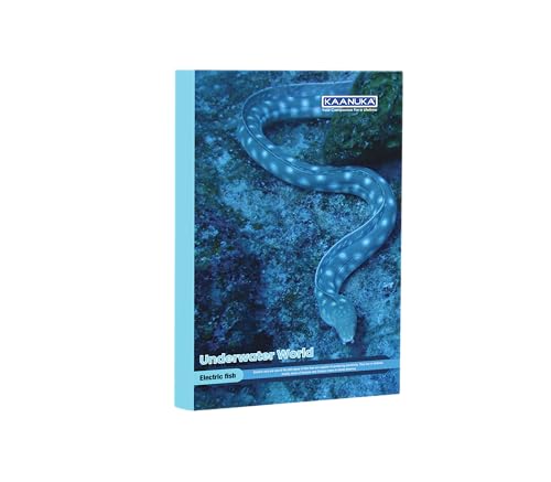Image of KAANUKA Long Size Notebook - 256 Pages, Unruled, Plain, Long Size - 27.2cm X 16.7cm, Pack Of 6 Notebooks, Long Size Unruled Notebooks for School and College Students