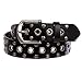 Beltiscool Casual Riveted Studded Grommets & Studs Solid Leather Belt, Black | 38