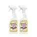 GRANDMA'S Secret 2 Pack Sneaker Cleaner Spray, 16 fl oz