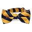 Navy Blue and Gold Bar