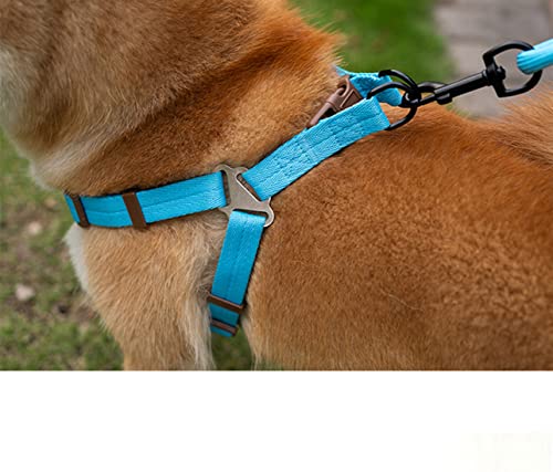Pet Dog Harness Collar And Leash Set With Adjustable Buckle No Pull Clip Halter Basic Collar Heavy Duty For Small Medium Dogs(Blue) #TOP1