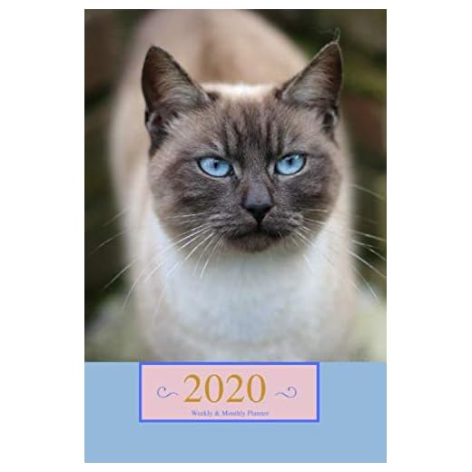 2020 Weekly & Monthly Planner: Siamese Cat Organizer Diary with Goal Setting and Gratitude Sections, Lynx Tabby