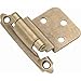 Self-Closing Pair Door Hinges (Set of 2) [Set of 3] Finish: Antique Brass3