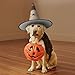 WLKSNBVD 3 PCS Old fashioned mail Wizard Hat for Adult Halloween Decor Costume Hanging Witch Hat Cosplay Accessory