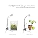 HIRO AQUATICS 2 in 1 Full Spectrum Clip-On Aquarium Plant Grow Light, Freestanding Freshwater Fish Tank LED Light, 5Watts