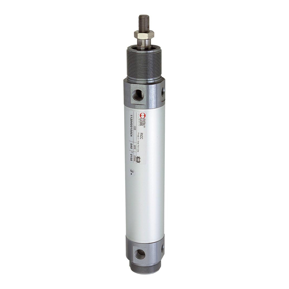 RIEGLER 105850-2.DM.32100 Rundzylinder, doppeltwirkend, Magnet, Kolben-Ø 32, Hub 100, G 1/8, 1Stk