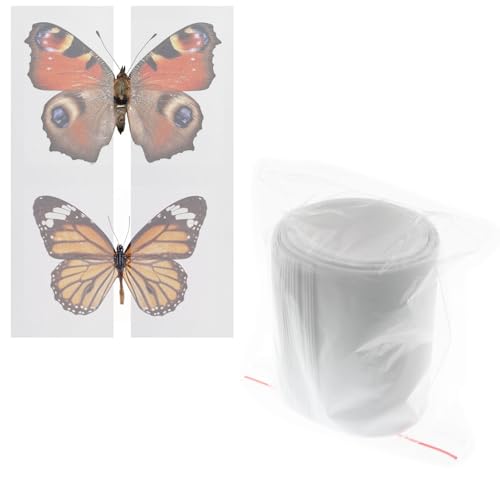 Lind Kitchen 1 Pack 420 x 70mm x 20 Making Insect Specimen Tools Kit Wings Pressing Paper Insect Pins Insect Pinning Board Insect Display Case Insect Collection for Bug Hobbyist Biology Projects